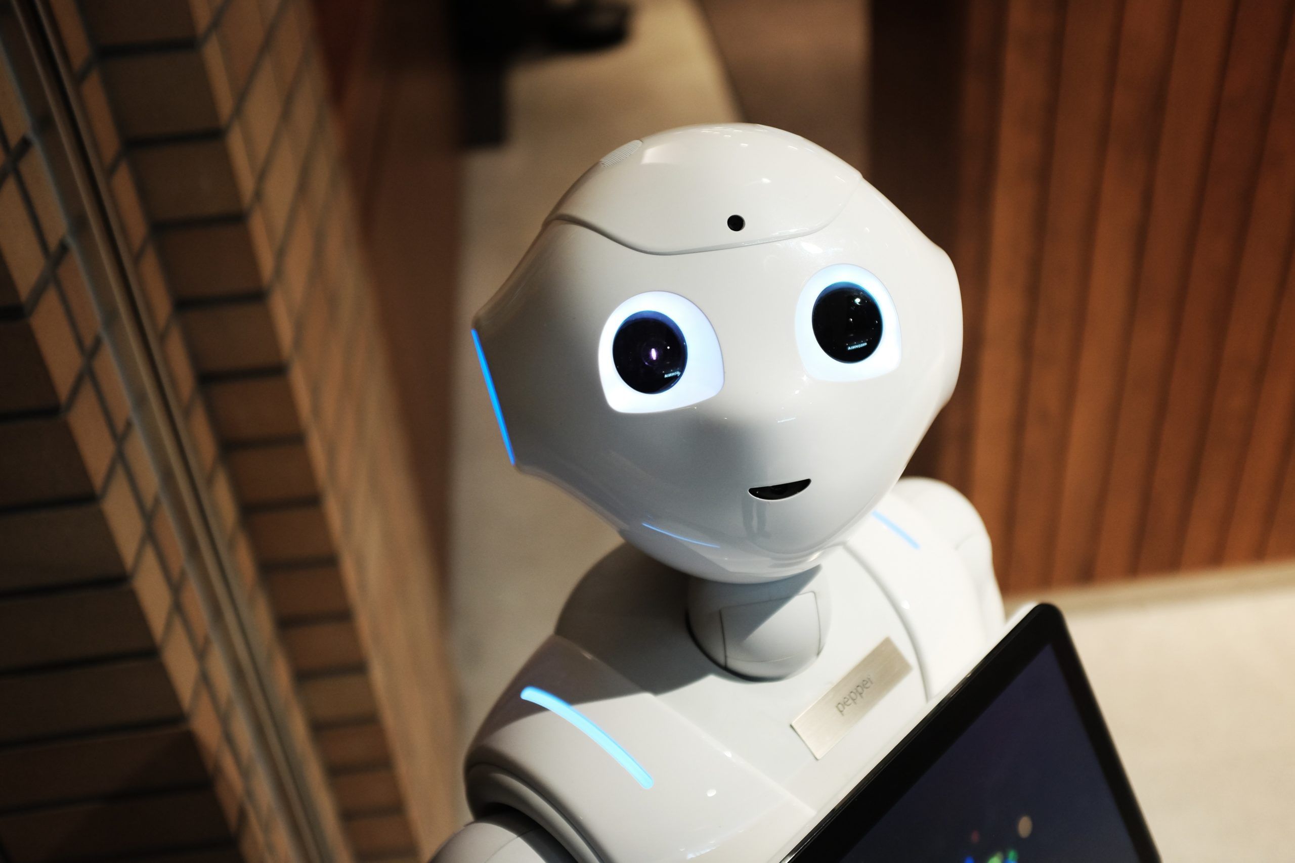 Artificial Intelligence: Four Areas Where You Have the Advantage
