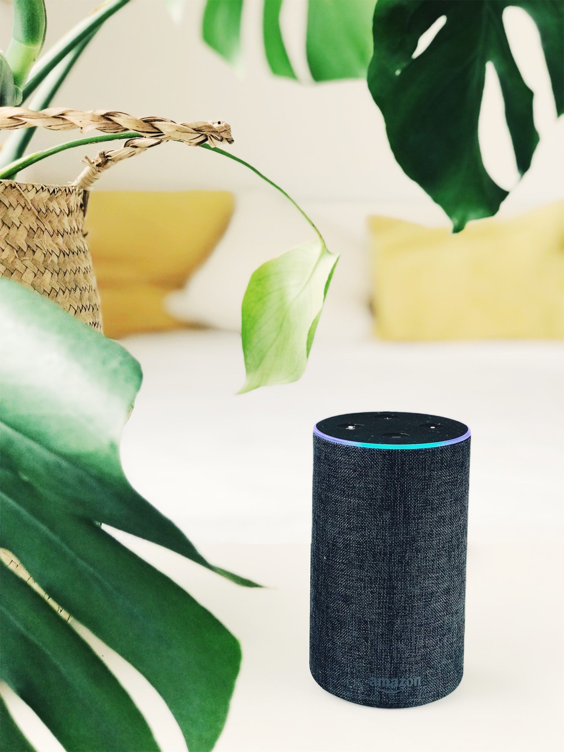 jan-antonin-kolar-PTDaKasR_p4-unsplash Why a ‘wait and see’ approach to AI voice assistants will hold back the retail sector