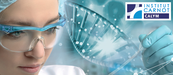 couv_plaquetteCALYM_GB_HAL_3 <span class="highlight"> The Carnot CALYM Institute</span> Fighting against lymphoma with Artificial Intelligence