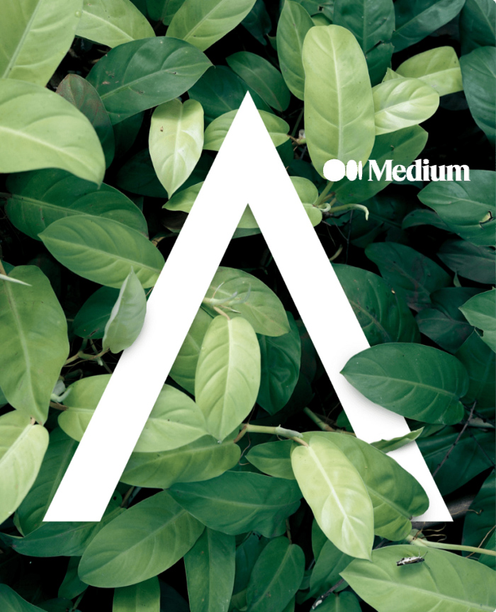 What we have learned measuring our company carbon footprint