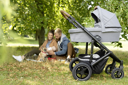Artefact wins Digital Marketing Account from Britax Römer