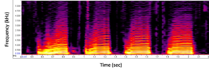 Graph: The Sound Shift: How Generative AI is Redefining the Music Industry’s Business Model Graph: The Sound Shift: How Generative AI is Redefining the Music Industry's Business Model